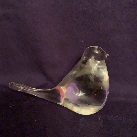 Bird - Picture 2 of 5